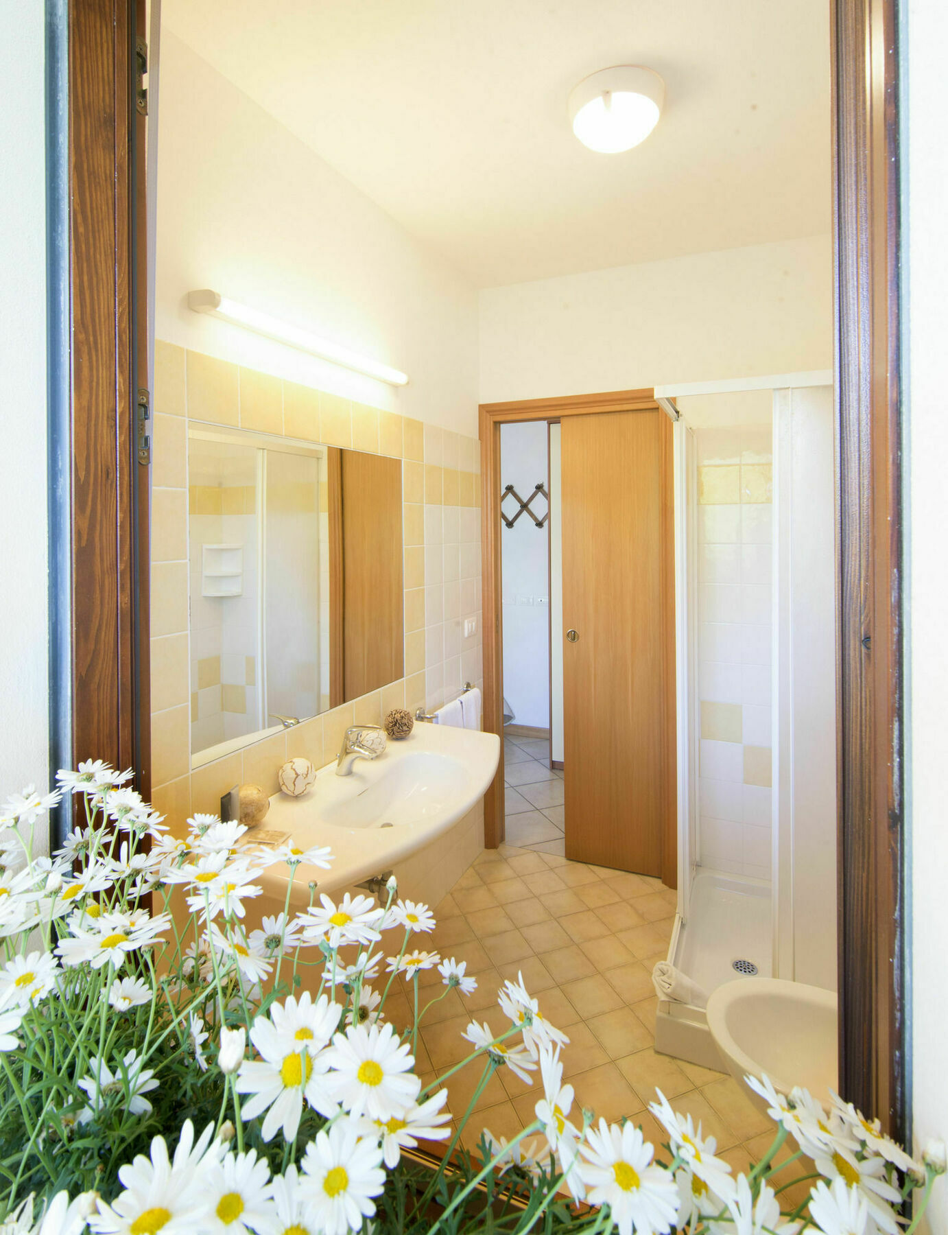 Residence Pineta Verde Милано Мартима Екстериор снимка